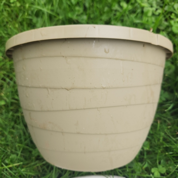 5 Plastic Hanging Flower Pots - Picture 4 of 7